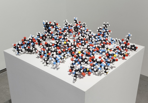 protein-13-sculpture